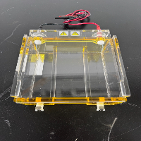 Thermo Scientific Owl D2-BP Electrophoresis System image 3